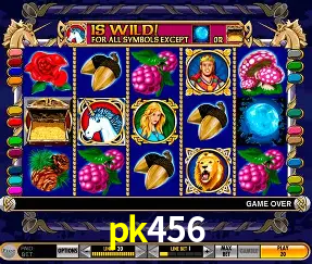 Descubra o Mundo do Cassino Online com pk456